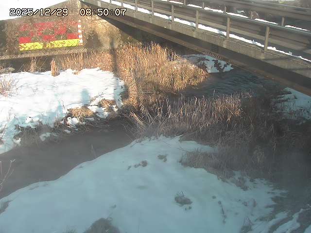 土師川２2025/12/29 9:50:00