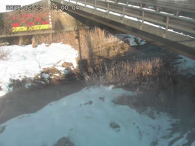 土師川２2025/12/29 9:50:00