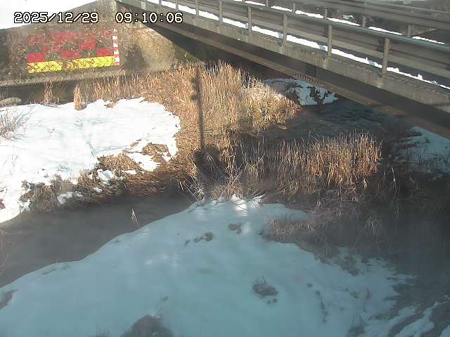 土師川２2025/12/29 9:50:00