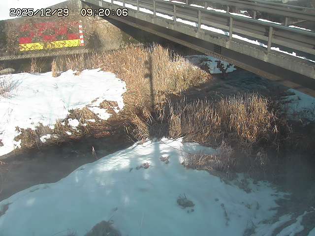 土師川２2025/12/29 9:50:00