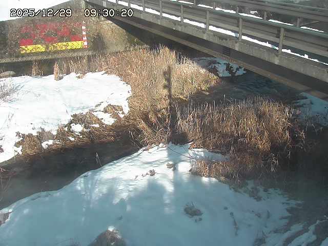 土師川２2025/12/29 9:50:00