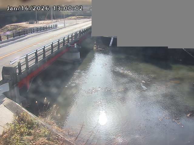 法勝寺川１2026/01/16 17:40:00