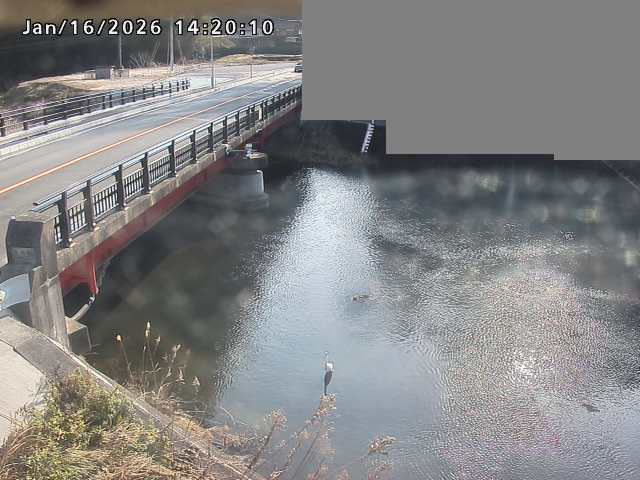 法勝寺川１2026/01/16 17:40:00