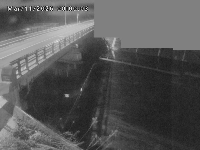 法勝寺川１2026/03/11 16:10:00