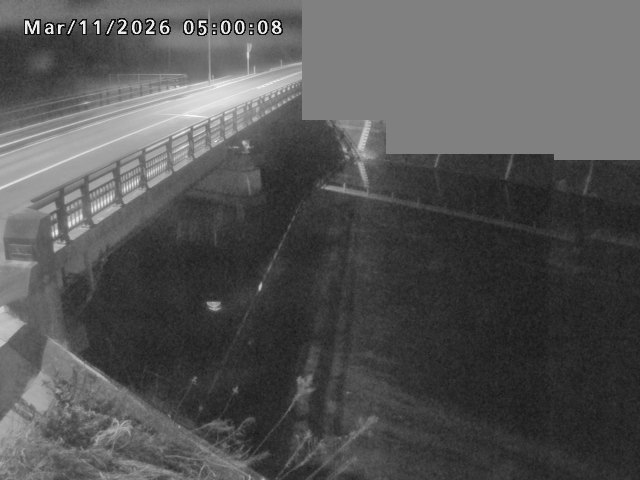 法勝寺川１2026/03/11 16:10:00