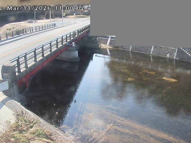 法勝寺川１2026/03/11 16:10:00