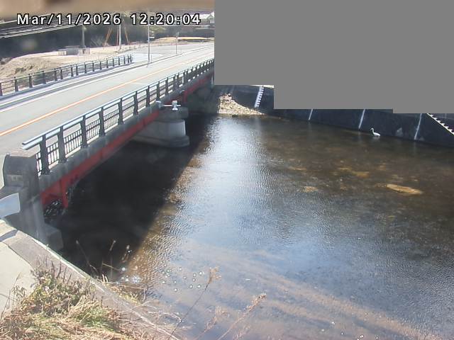 法勝寺川１2026/03/11 16:10:00