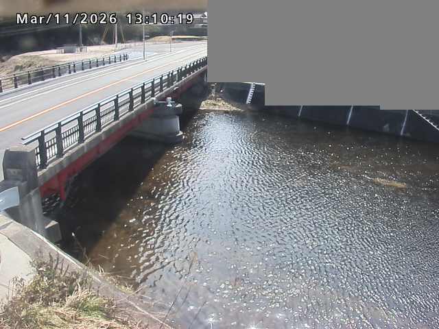 法勝寺川１2026/03/11 16:10:00