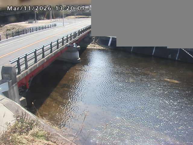 法勝寺川１2026/03/11 16:10:00