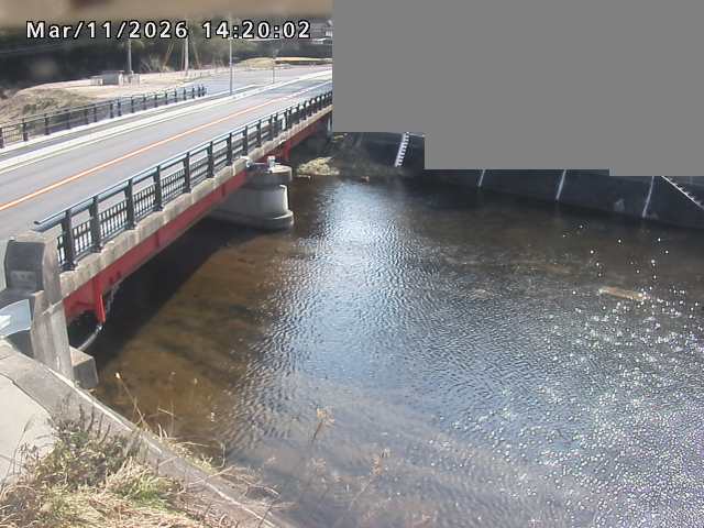 法勝寺川１2026/03/11 16:10:00