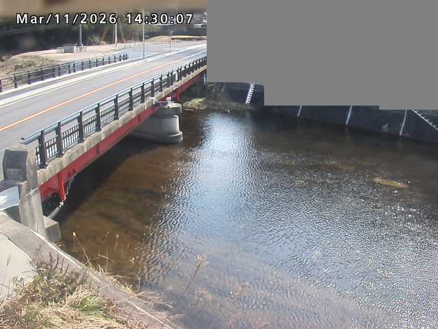 法勝寺川１2026/03/11 16:10:00