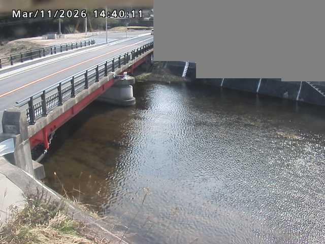 法勝寺川１2026/03/11 16:10:00