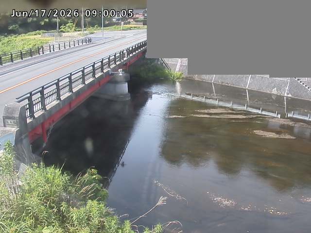 法勝寺川１2026/06/17 14:20:00