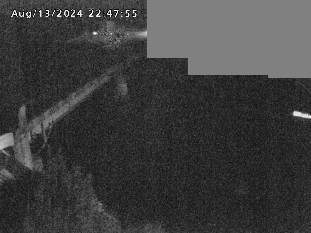 法勝寺川１2025/08/14 1:10:00