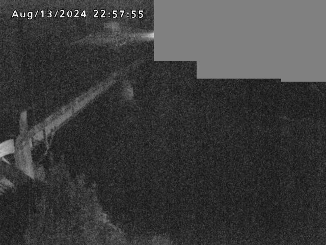 法勝寺川１2025/08/14 1:10:00