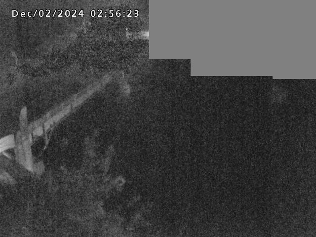 法勝寺川１2025/12/02 12:10:00