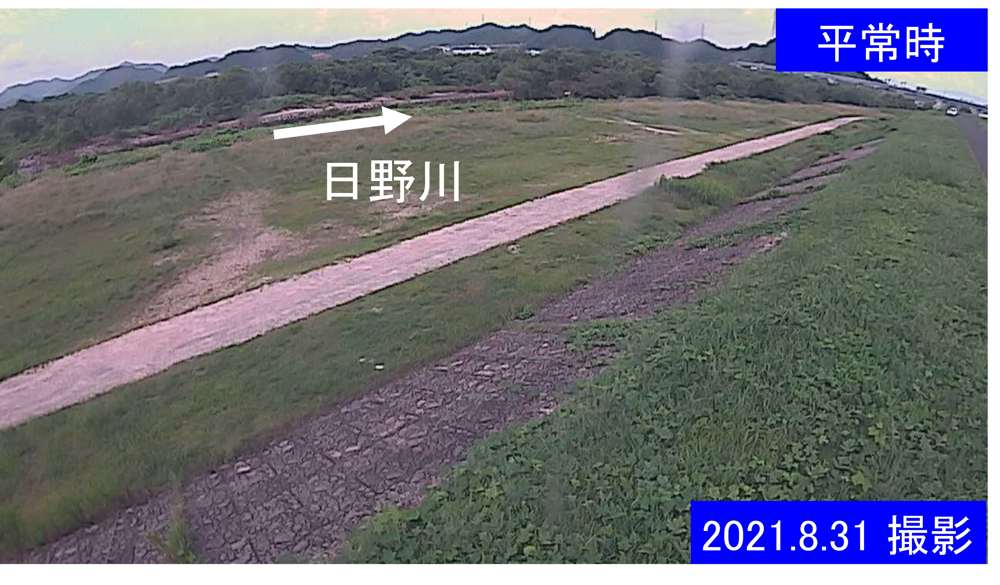十日市　日野川 5k000 右岸(通常の水位)