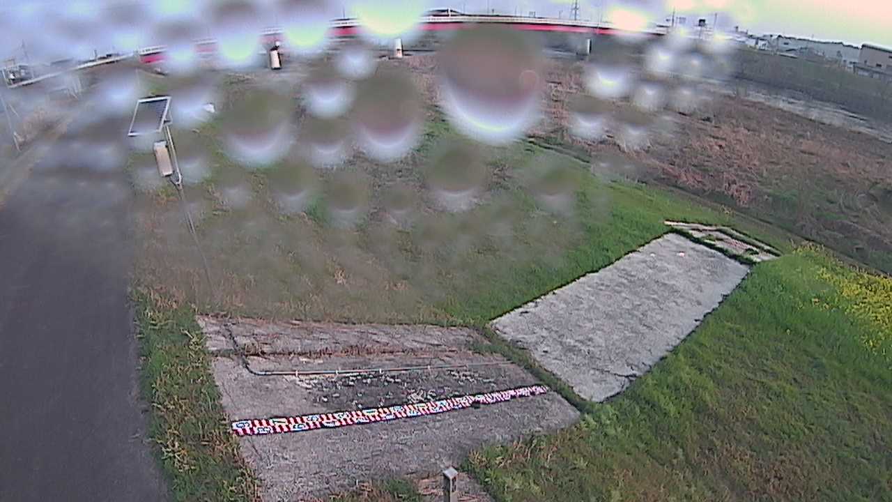 大寺　日野川 9k800 左岸