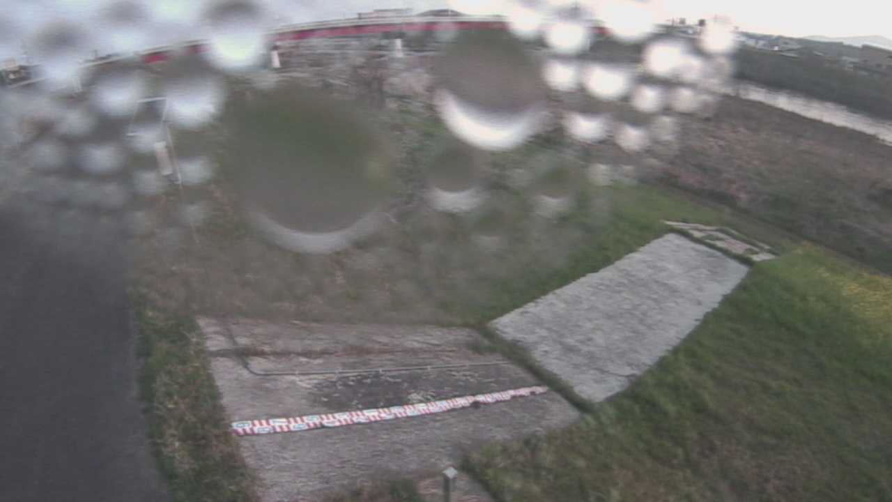 大寺　日野川 9k800 左岸