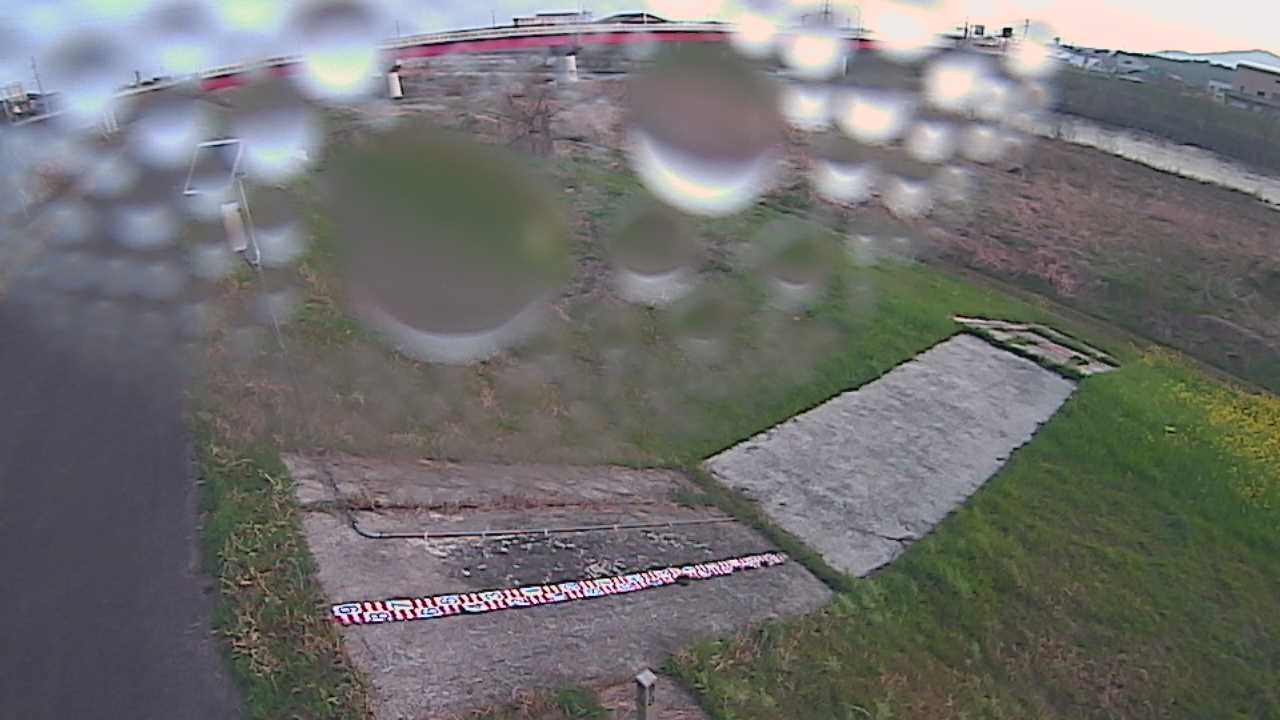 大寺　日野川 9k800 左岸