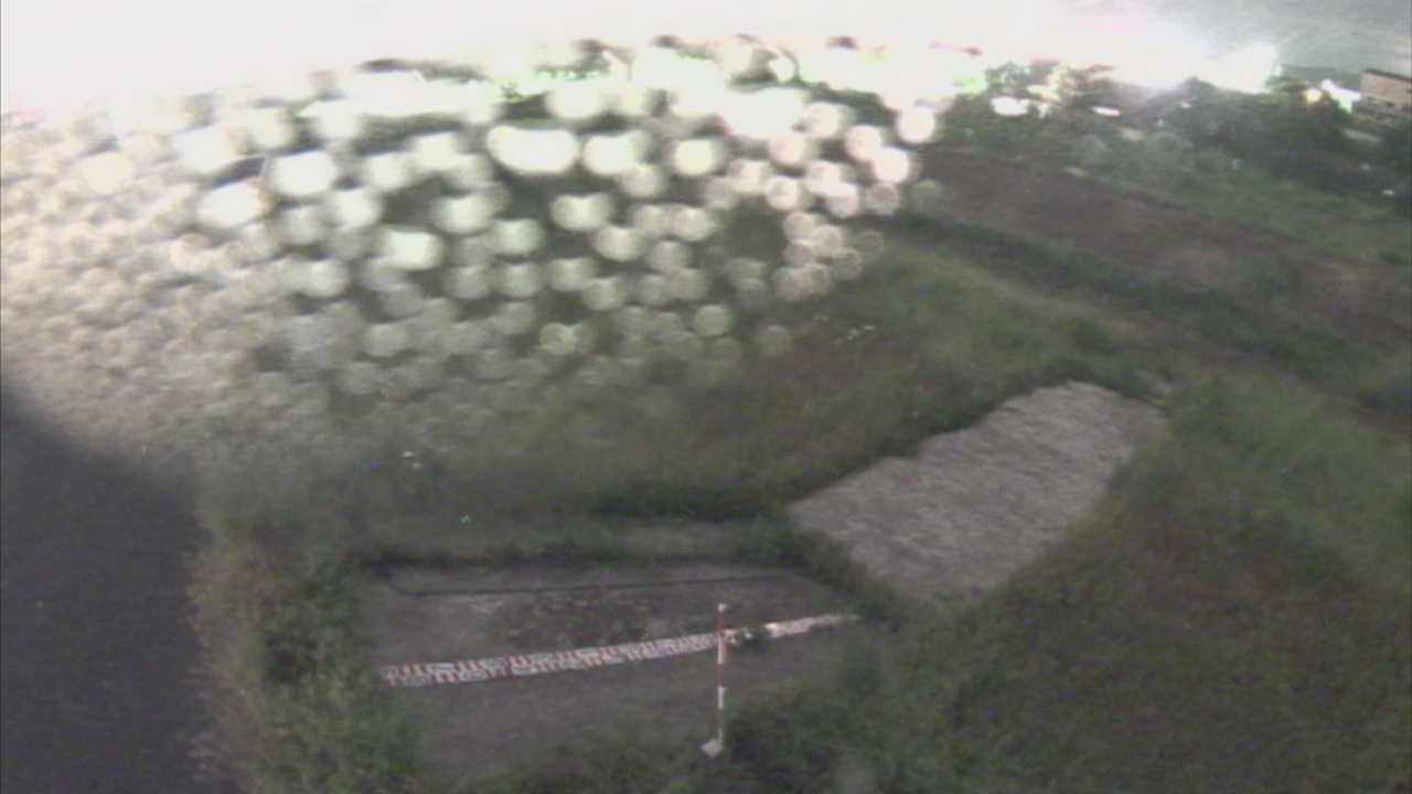 大寺　日野川 9k800 左岸