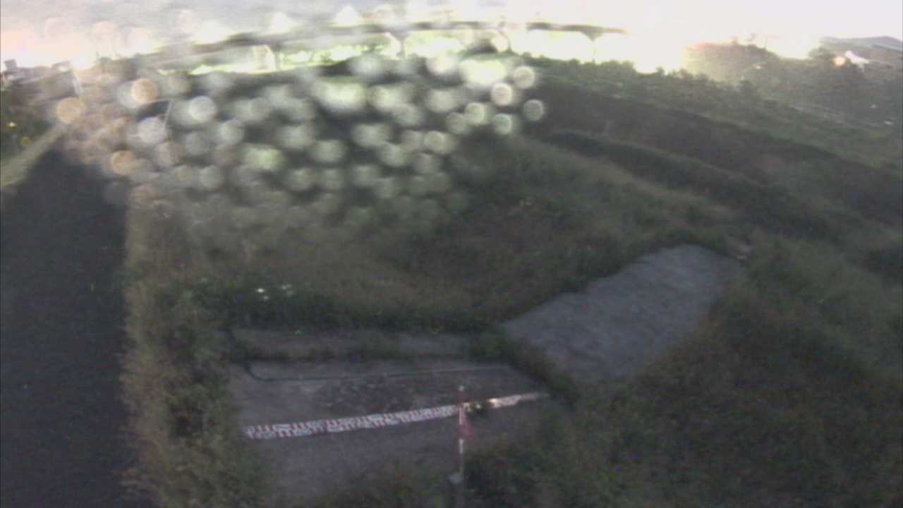 大寺　日野川 9k800 左岸