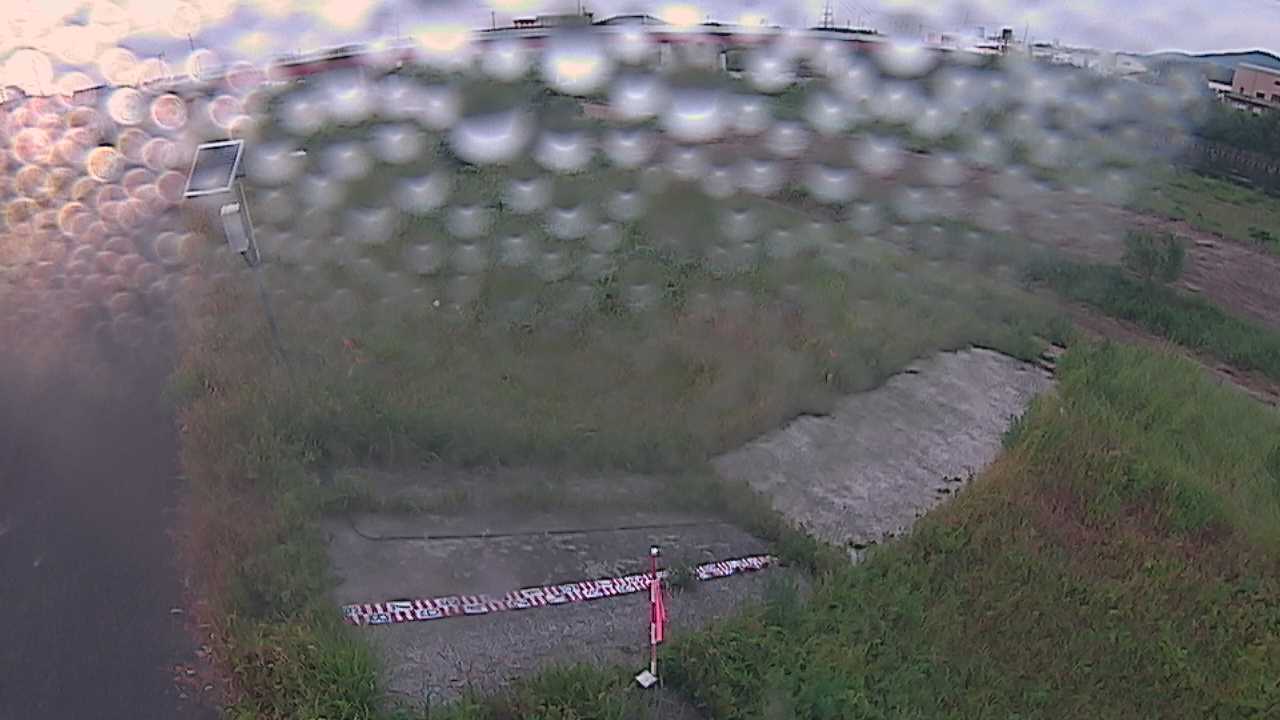 大寺　日野川 9k800 左岸