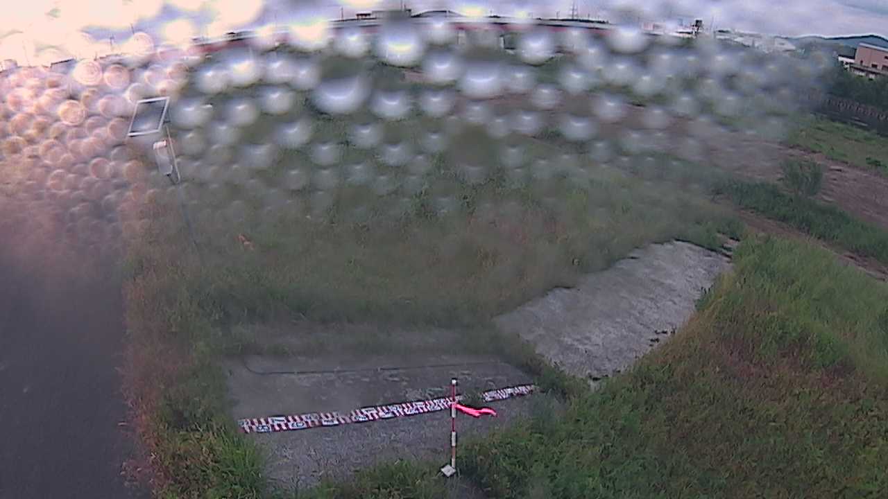 大寺　日野川 9k800 左岸
