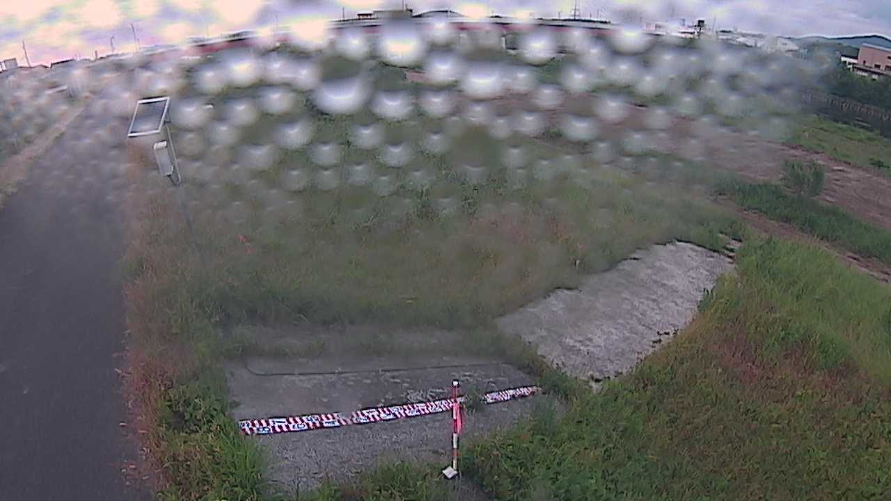 大寺　日野川 9k800 左岸