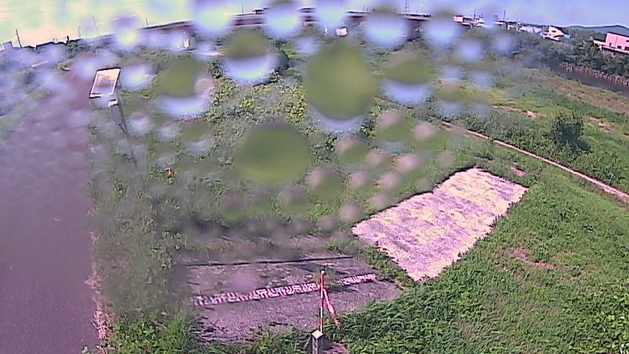 大寺　日野川 9k800 左岸