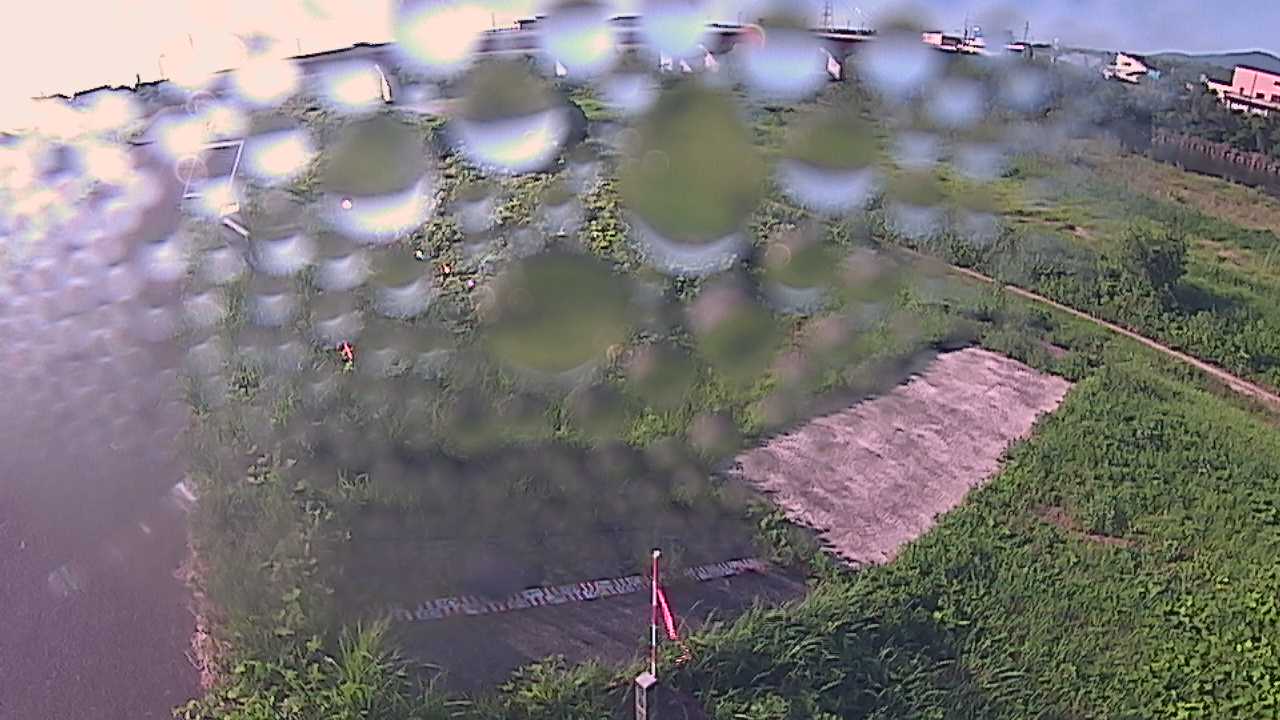 大寺　日野川 9k800 左岸