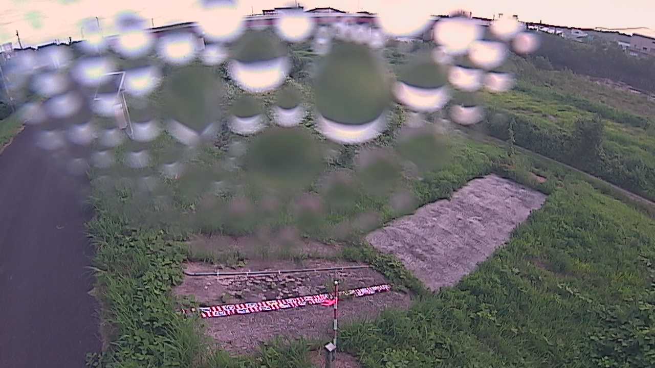 大寺　日野川 9k800 左岸