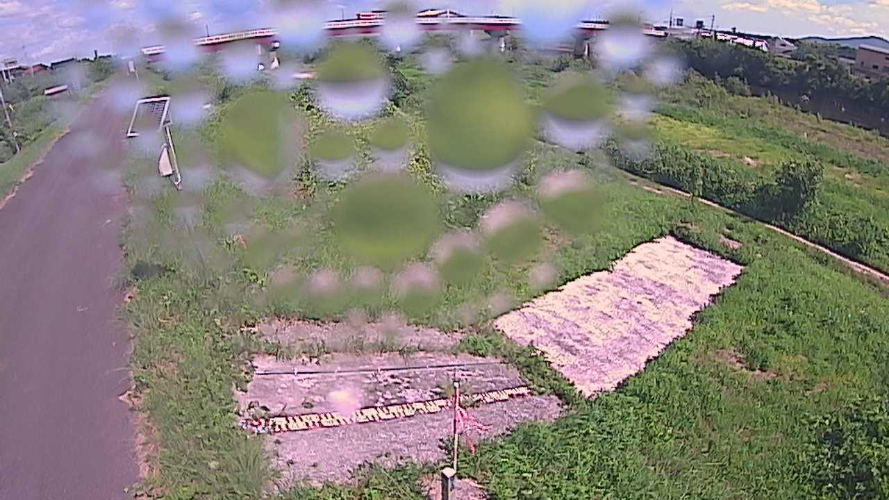 大寺　日野川 9k800 左岸