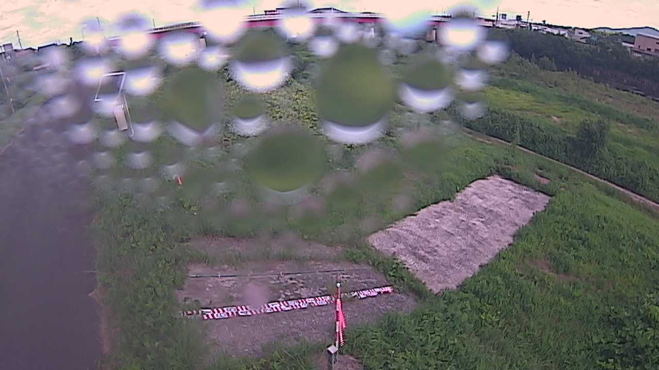 大寺　日野川 9k800 左岸