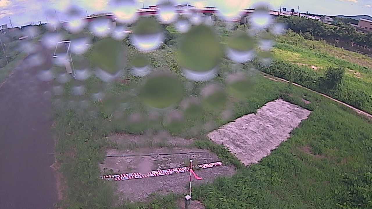 大寺　日野川 9k800 左岸