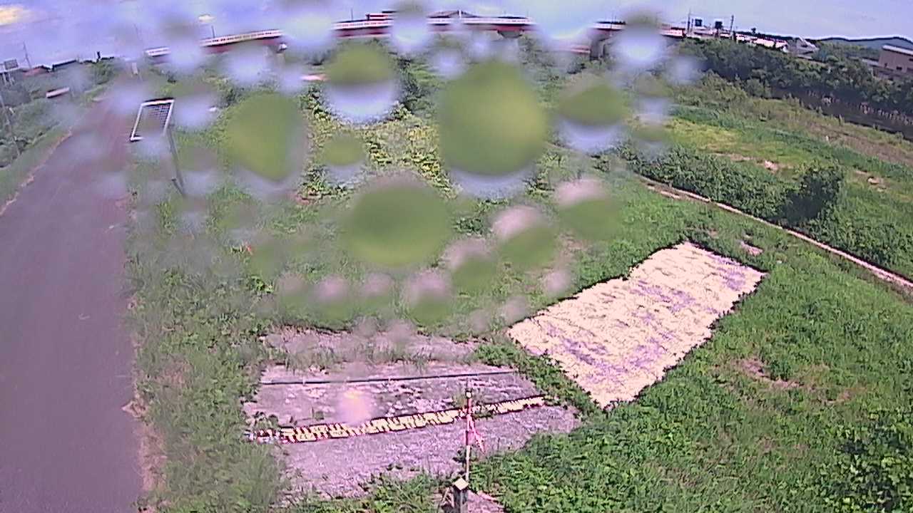 大寺　日野川 9k800 左岸