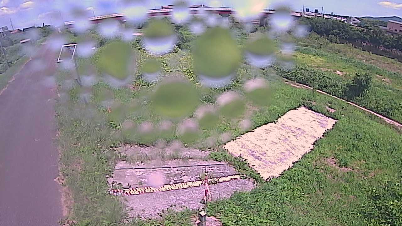 大寺　日野川 9k800 左岸