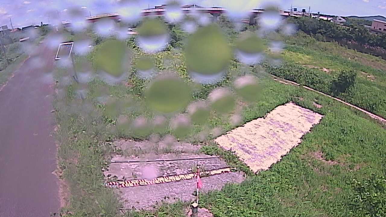 大寺　日野川 9k800 左岸