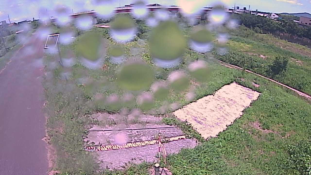 大寺　日野川 9k800 左岸