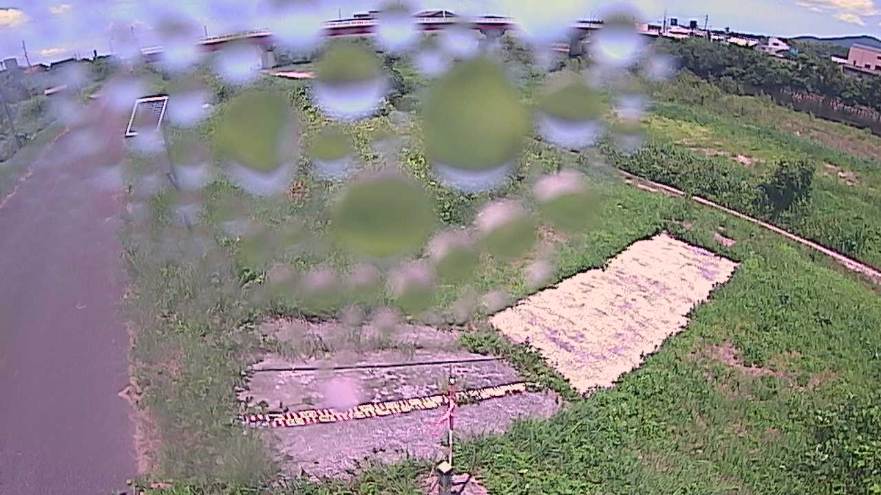 大寺　日野川 9k800 左岸