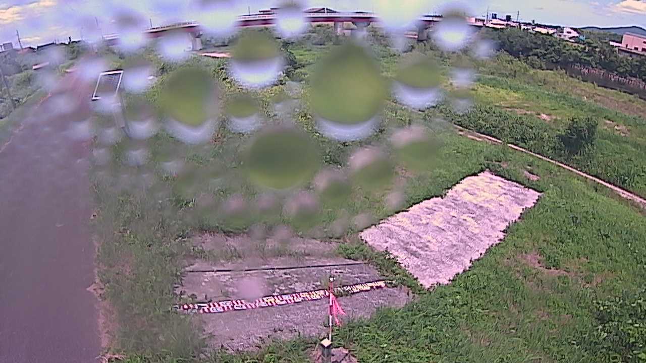 大寺　日野川 9k800 左岸