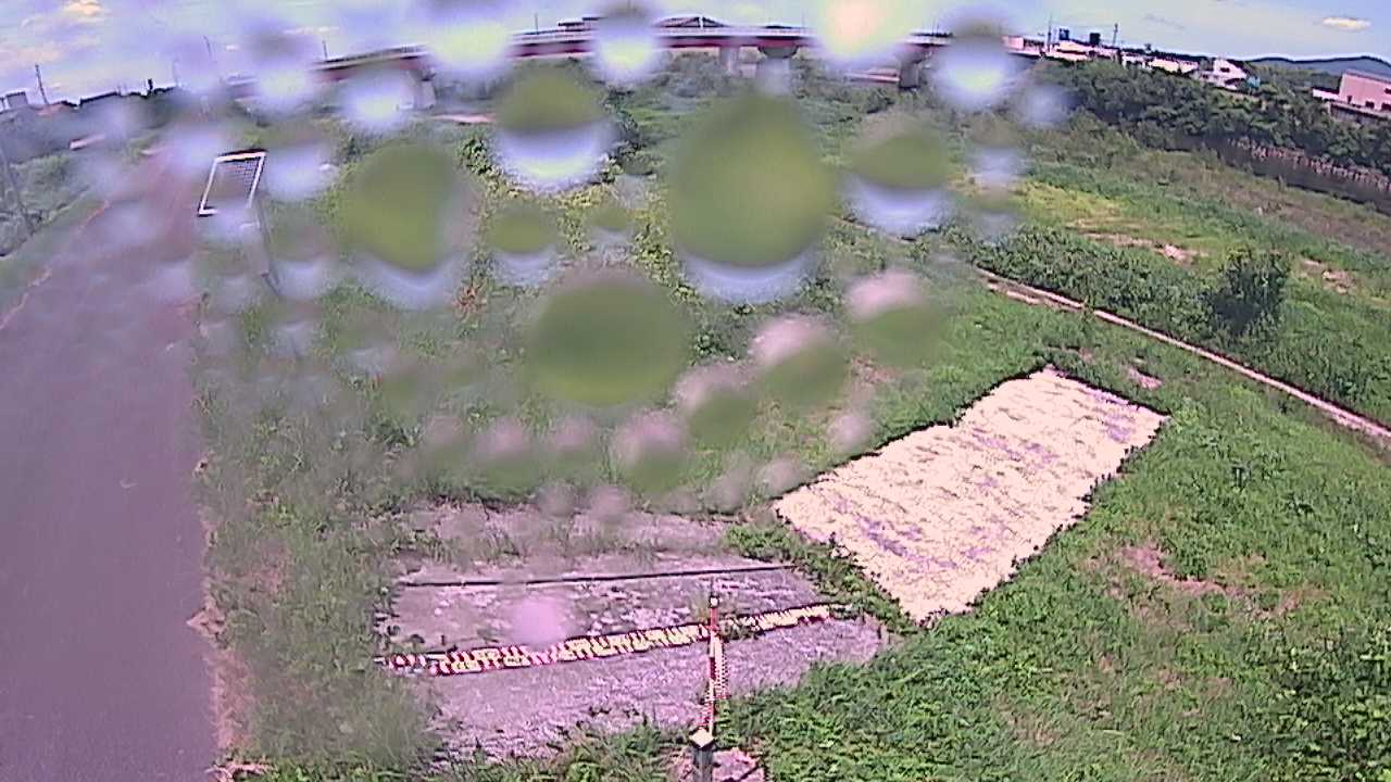 大寺　日野川 9k800 左岸