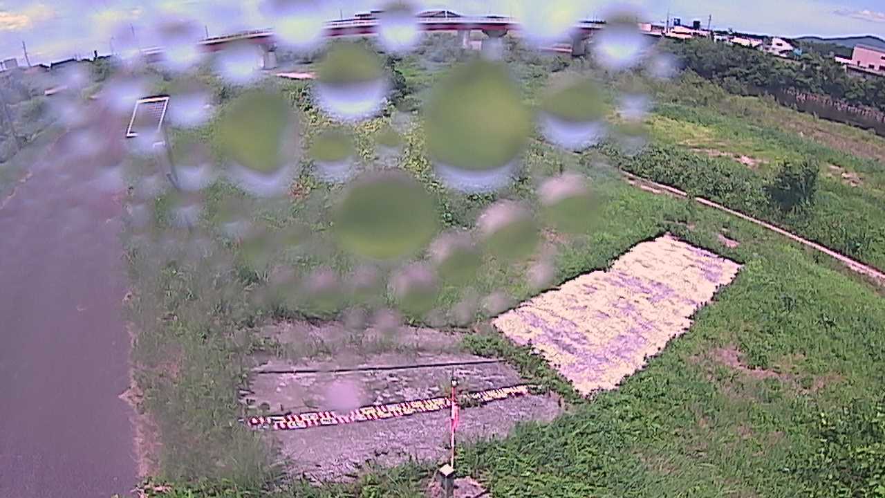 大寺　日野川 9k800 左岸