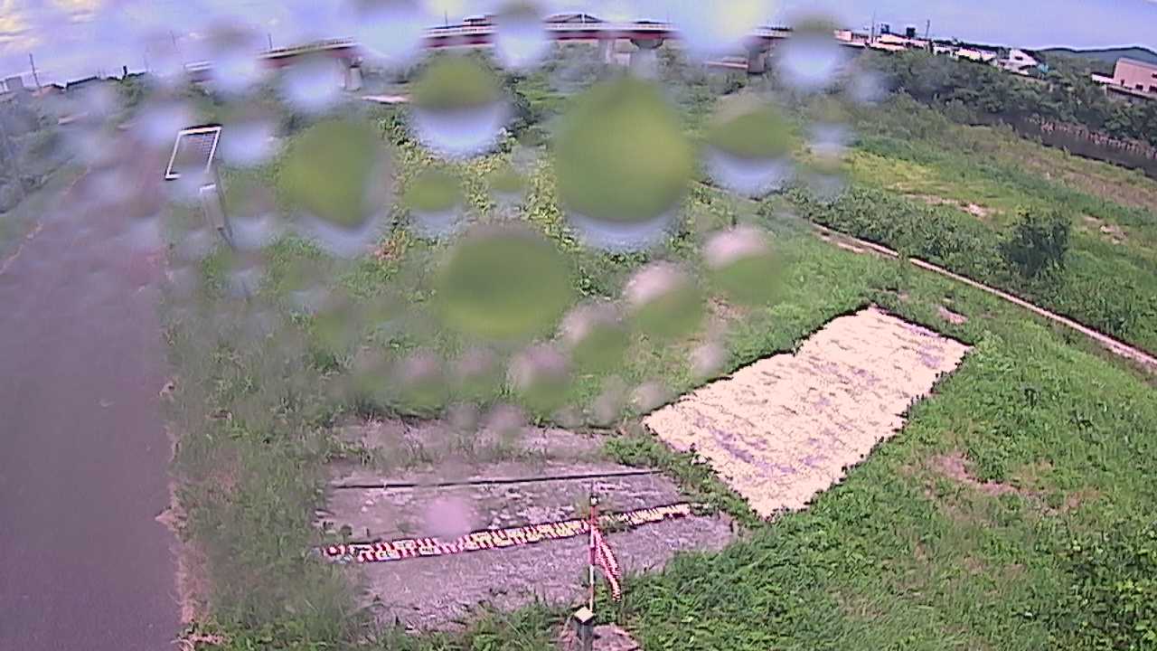 大寺　日野川 9k800 左岸