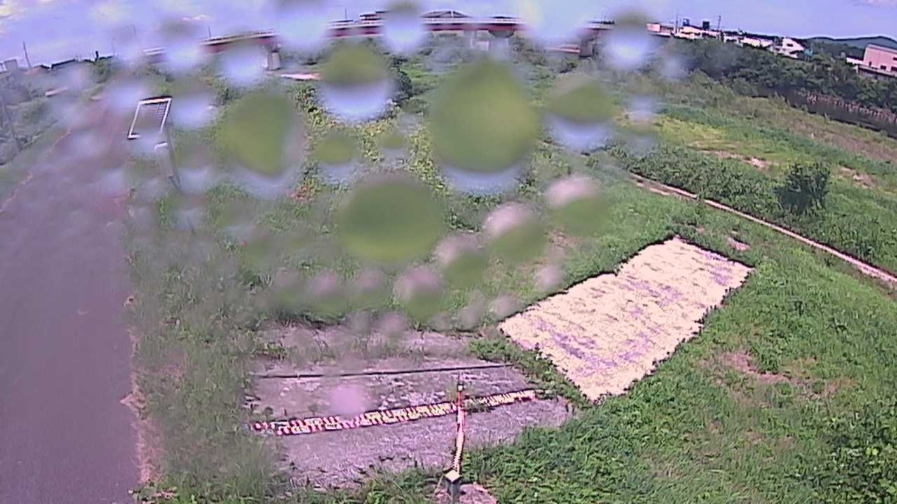 大寺　日野川 9k800 左岸