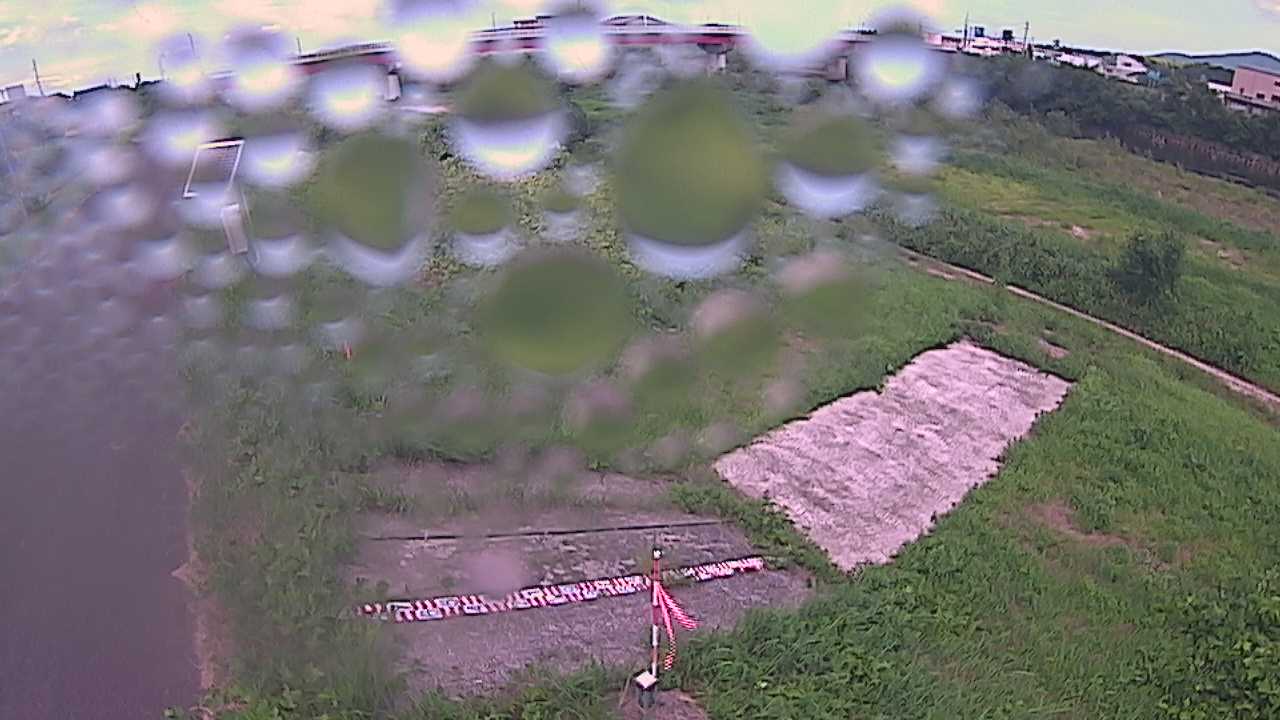 大寺　日野川 9k800 左岸