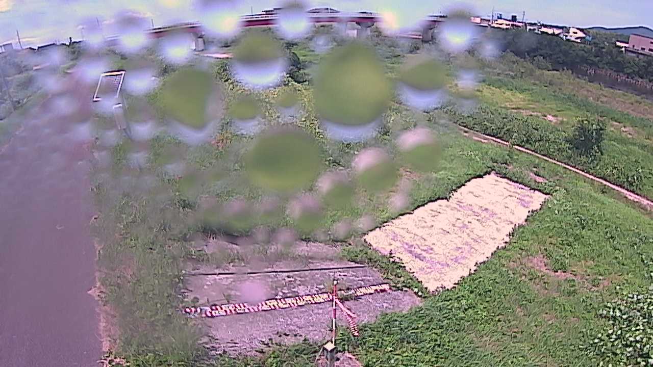 大寺　日野川 9k800 左岸