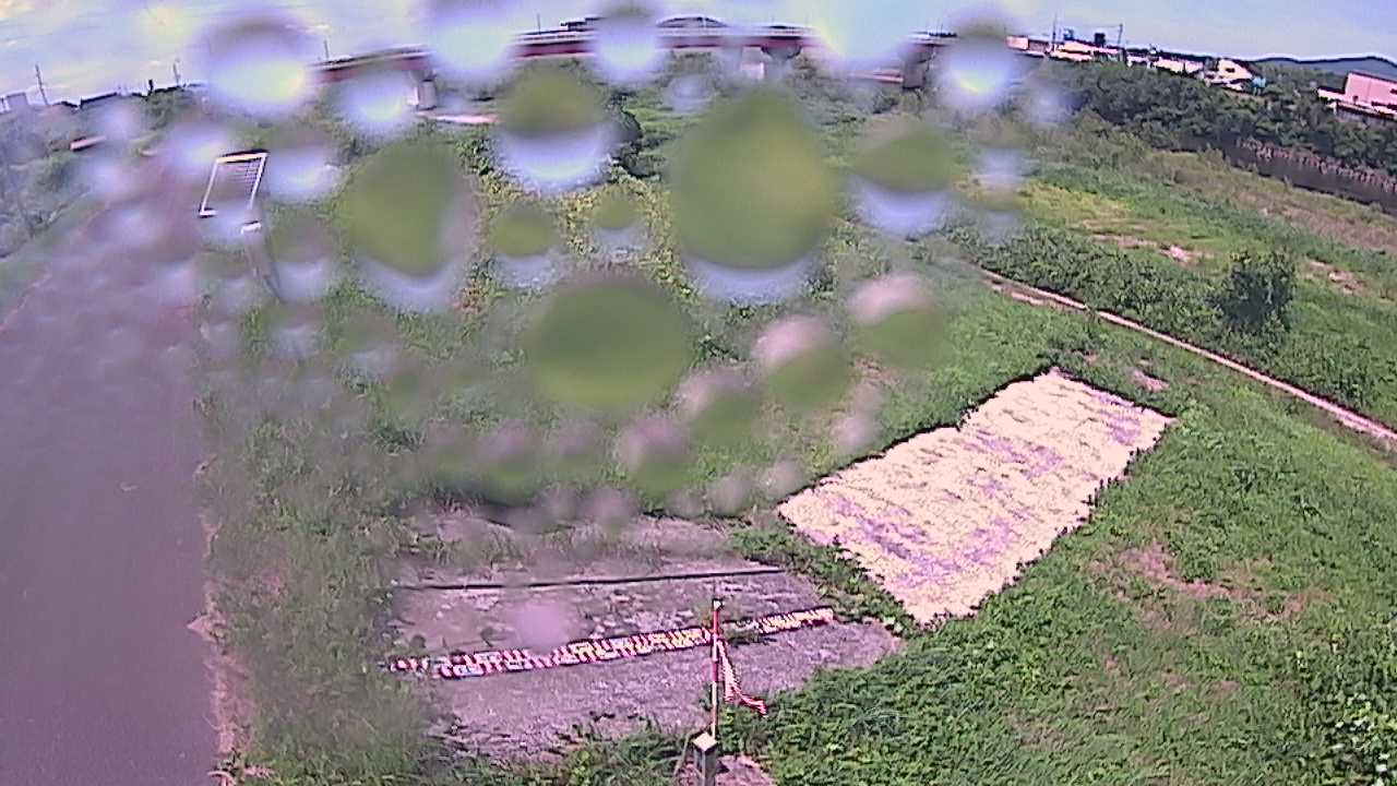 大寺　日野川 9k800 左岸
