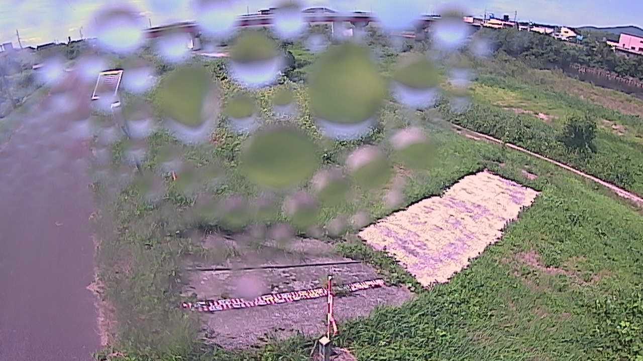 大寺　日野川 9k800 左岸