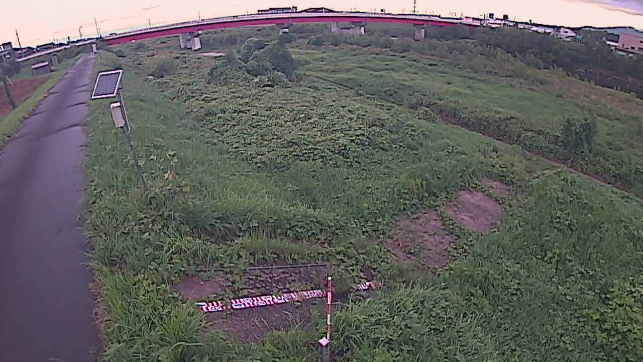 大寺　日野川 9k800 左岸